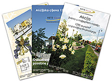 Ads for the campaign